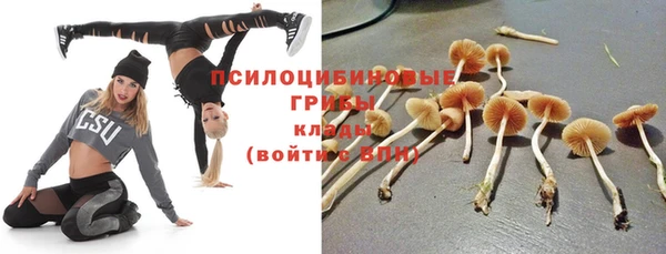 spice Балабаново