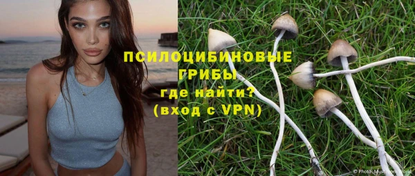 spice Балабаново