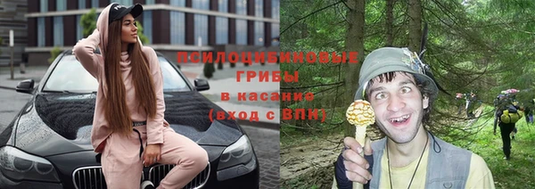 дживик Армянск