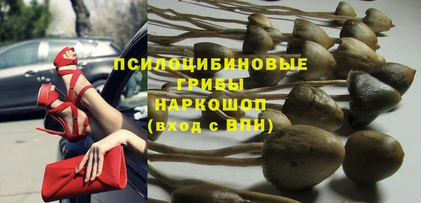 spice Балабаново