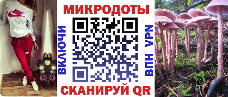 Псилоцибиновые грибы Psilocybe  Ревда 